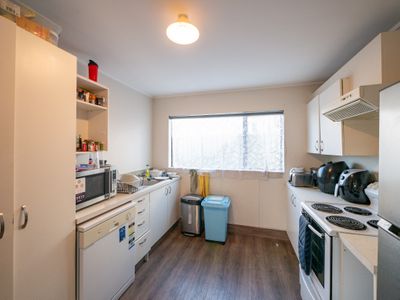 3 / 543 George Street, Dunedin North
