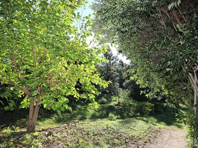 240 Stanger Road, Stony Chute