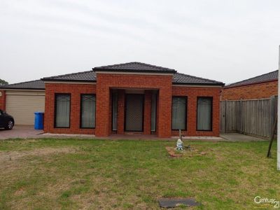 2 Marigold Place, Lyndhurst