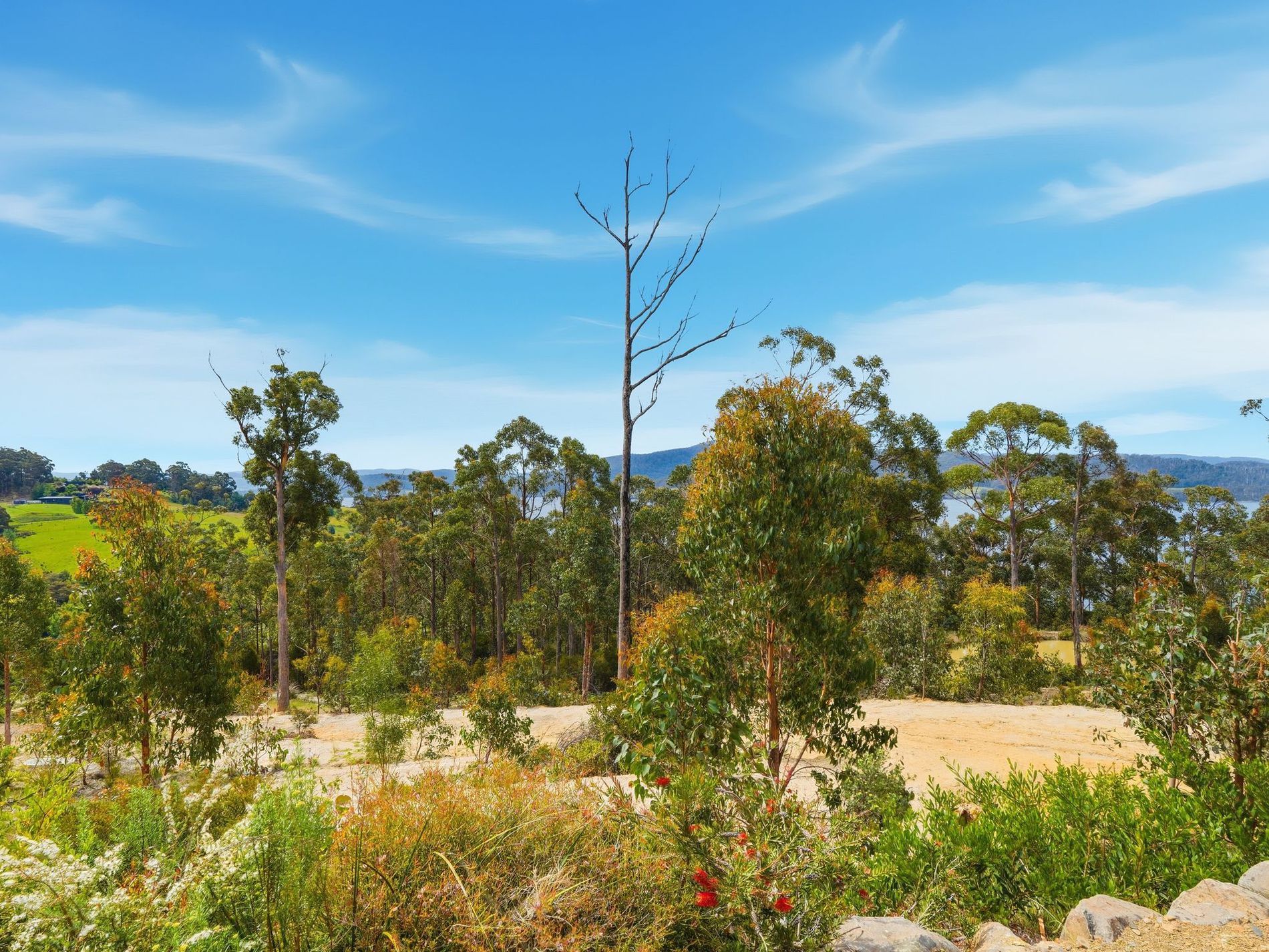 13 Eva Gully Road, Brooks Bay