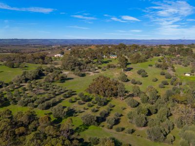 43 Sheoak Road, Mclaren Vale