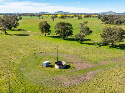 312 Merri Meric Road, Henty