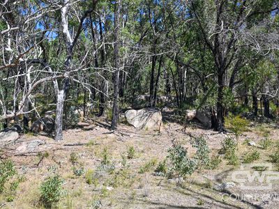 Lot 85, CATARRH CREEK ROAD, Torrington