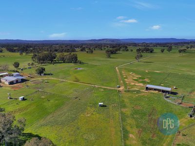 61 Forest Lane, Markwood