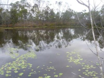 2 Olivers Road, Goodwood