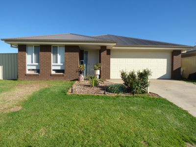 44 Zirilli Avenue, Griffith