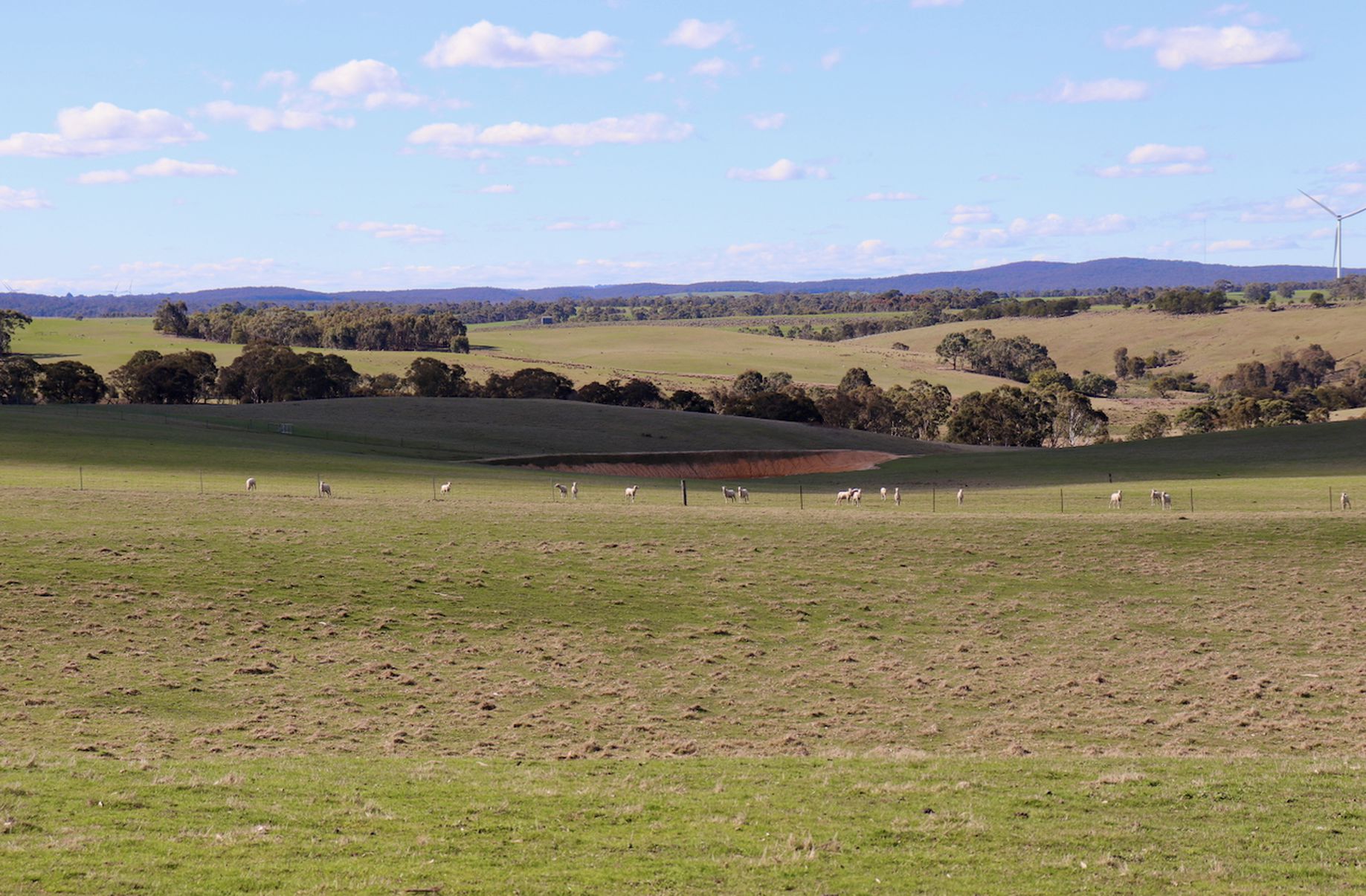 Lot 13, 13A, 13B, 31A &, 31C BRIDGE ROAD, Grenville