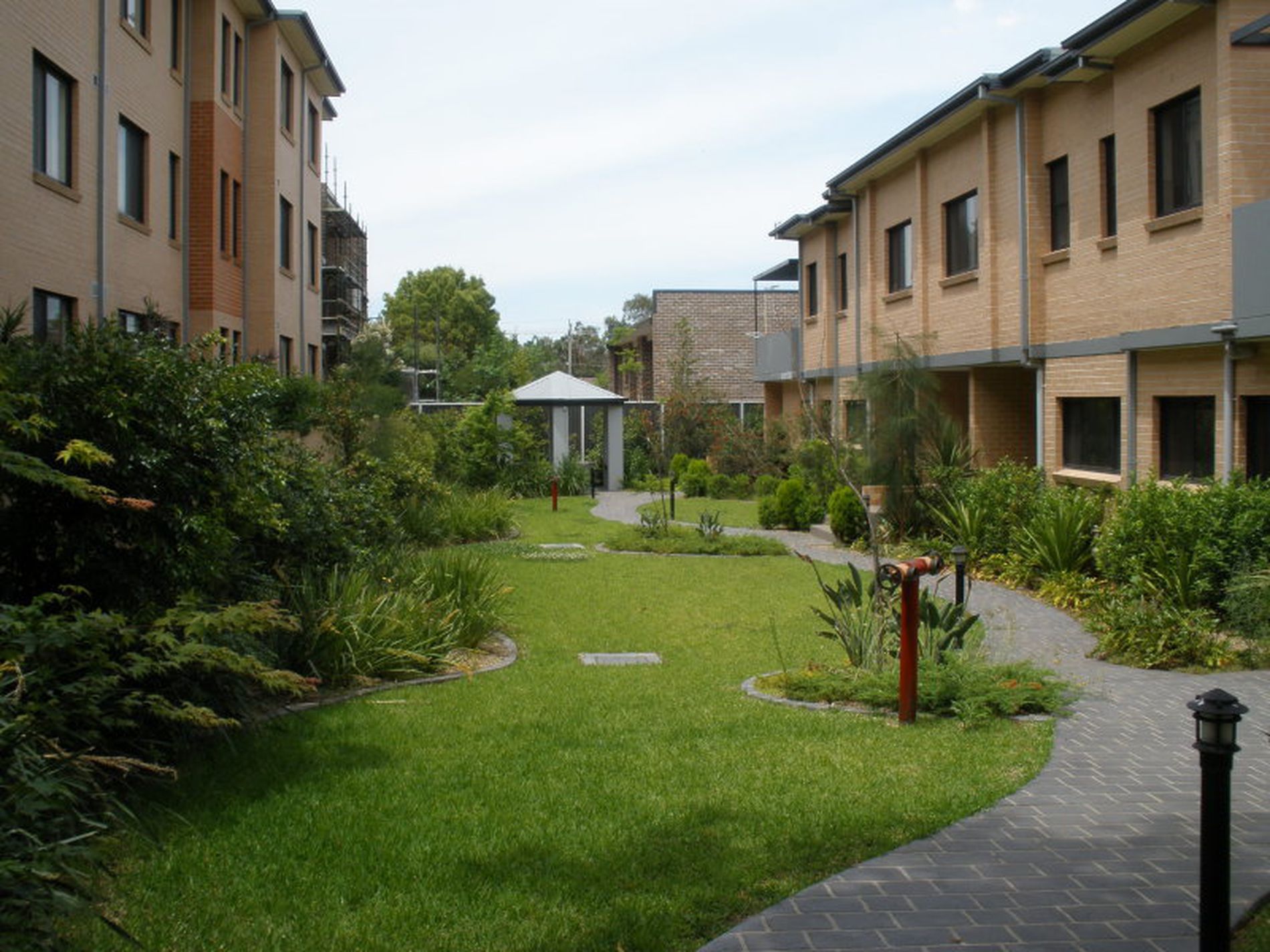 24 / 23-33 Napier Street, Parramatta