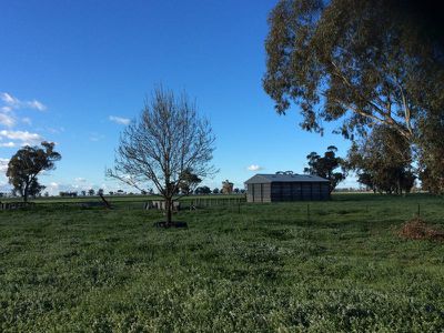 513 Burnewang Road, Corowa