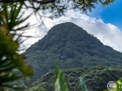 21 Main Arm Road, Mullumbimby