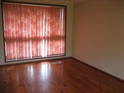 Mount Warrigal