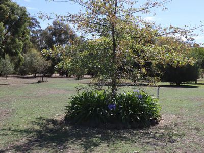 15  Hylands Lane, Heathcote