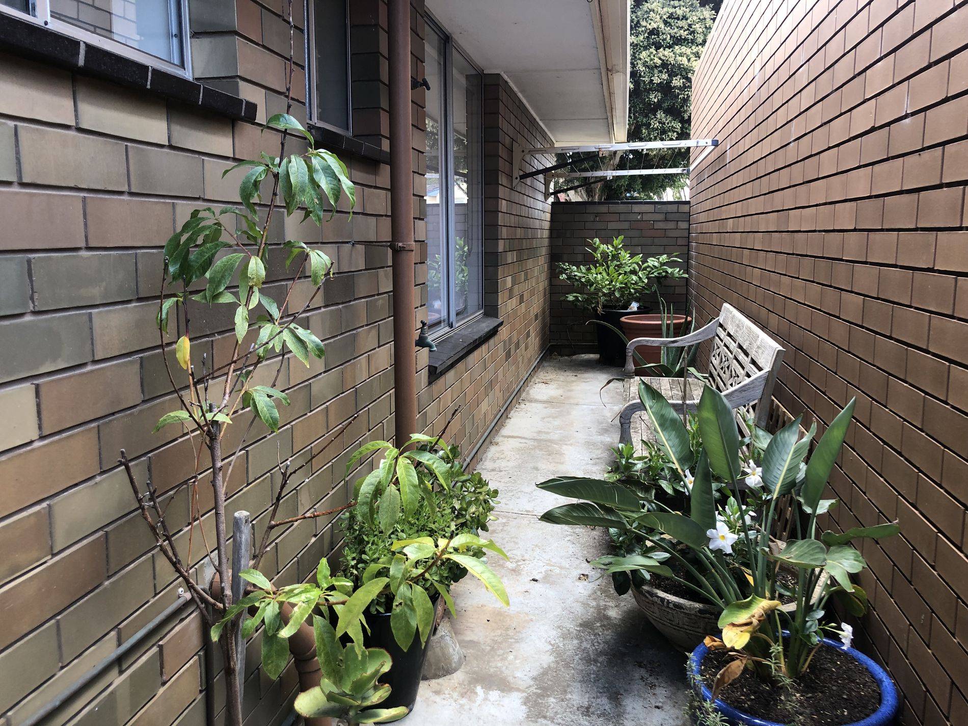 1 / 6 Glenleith Court, Geelong