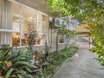 16 / 5 Lewis Street, Kingsville