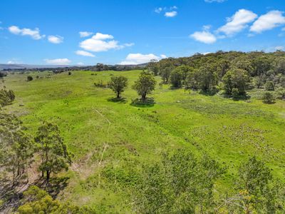 195 Halls Lane, Braidwood