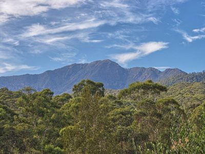 2 / 4 Alpine Ridge Drive, Merrijig