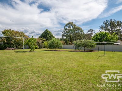 19 Potter Parade, Glen Innes