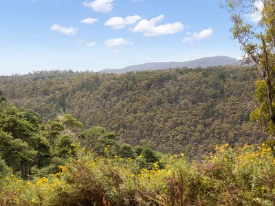 237 Hungry Flats Road, Tunnack