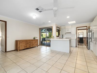 11 Kimtara Court, Somerville