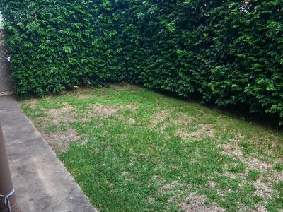 1 / 117 Forest Road, Arncliffe