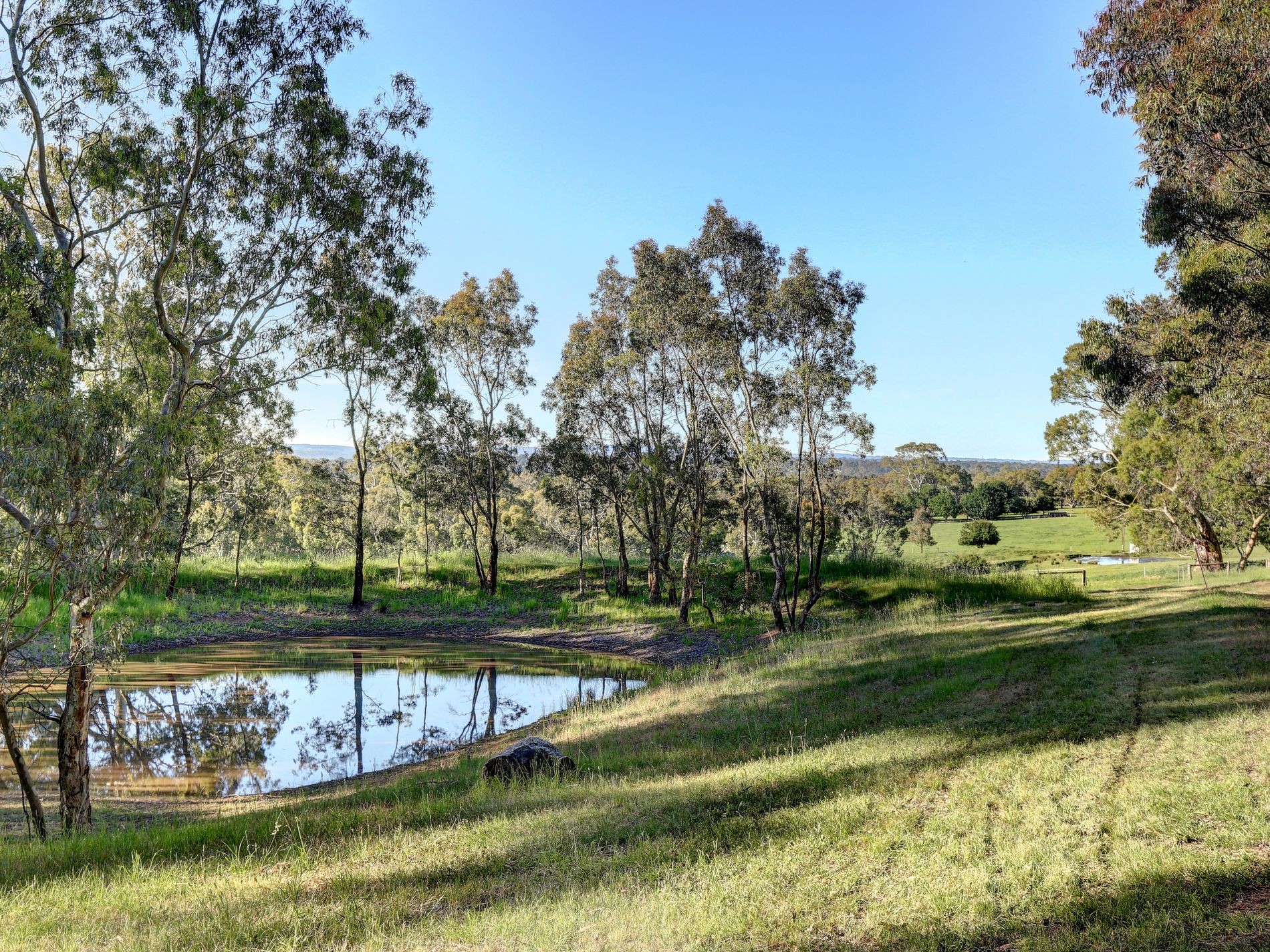 29 Rodert Road, Meadows