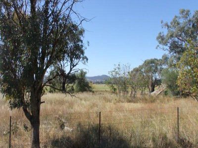 8710 Black Stump Way, Tambar Springs