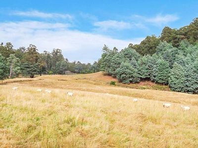 48 Arthurs Road, Pelverata