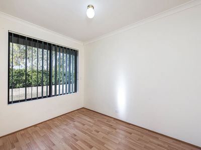162 Willmott Drive, Waikiki