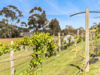 109 Meadows Lane, Heathcote