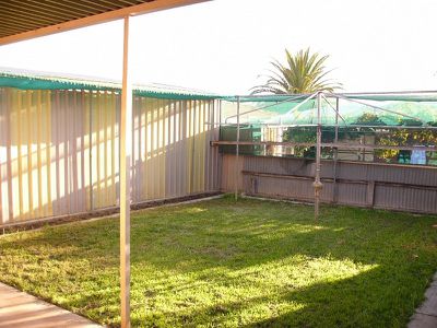 7 Collett Avenue, Netley