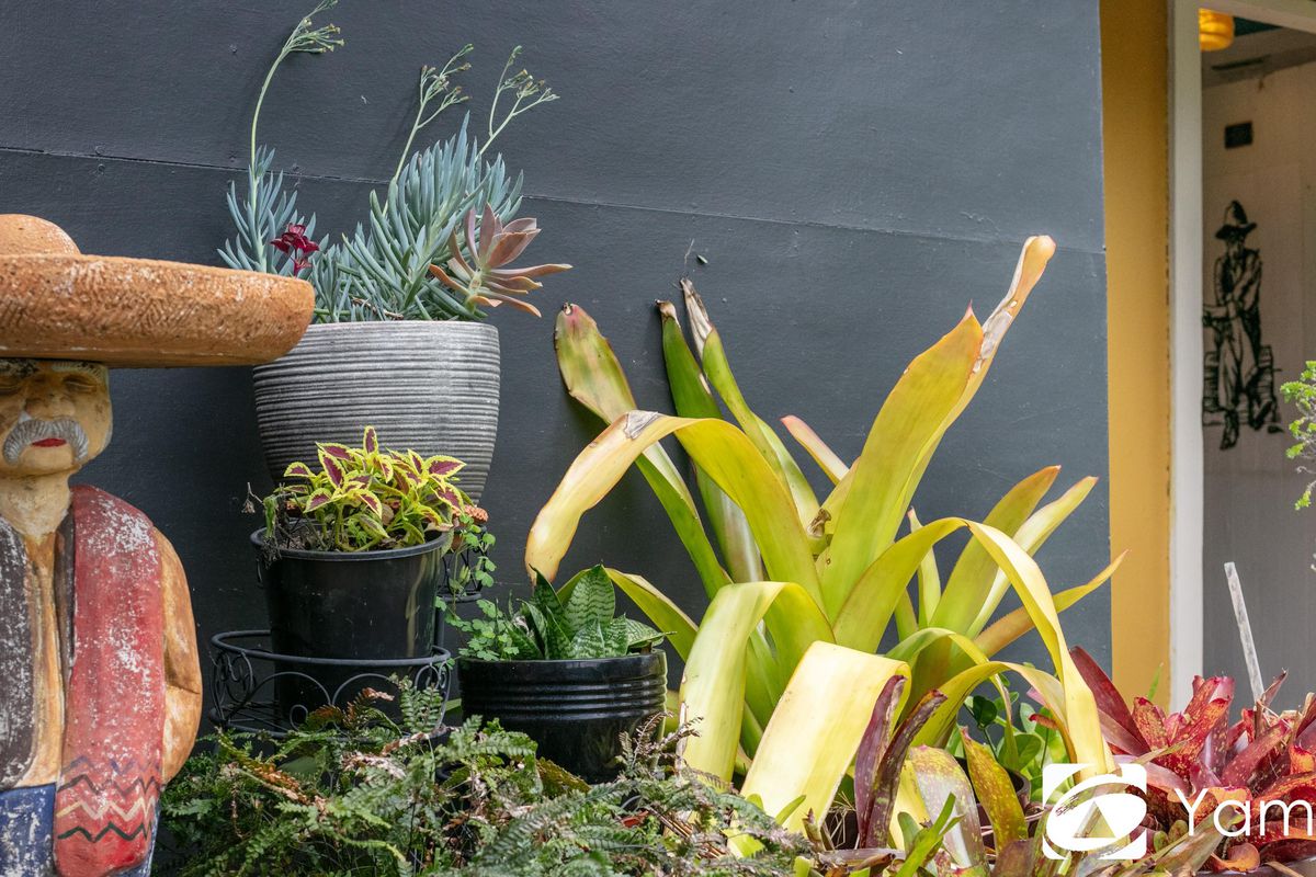 18 Morpeth Street, Harwood