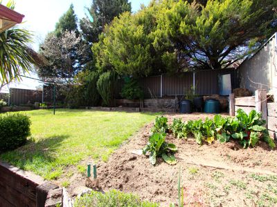 3 Holterman Place, Kelso