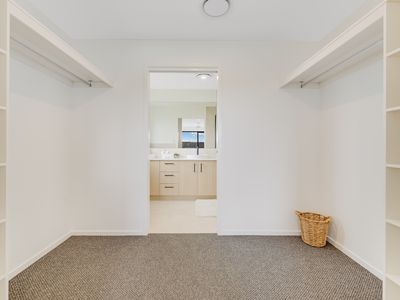 44 Treeline Circuit, Mooloolah Valley