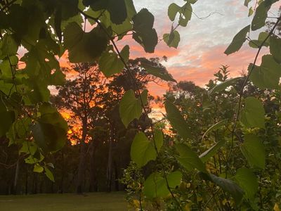 3 Sylvia Court, Mallacoota