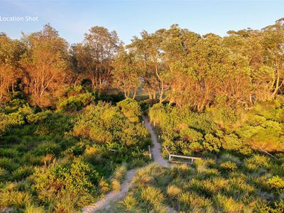 67 Matron Porter Drive, Narrawallee