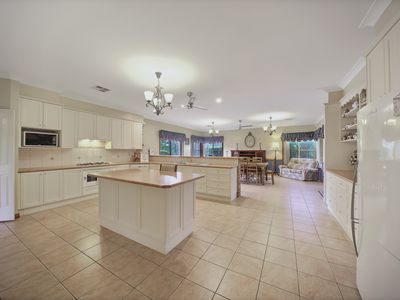 20 Toby Place, Razorback