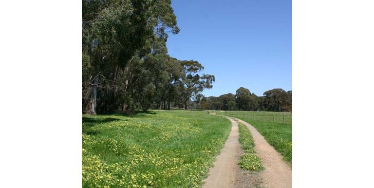 1621 Harrys Creek Road, Strathbogie