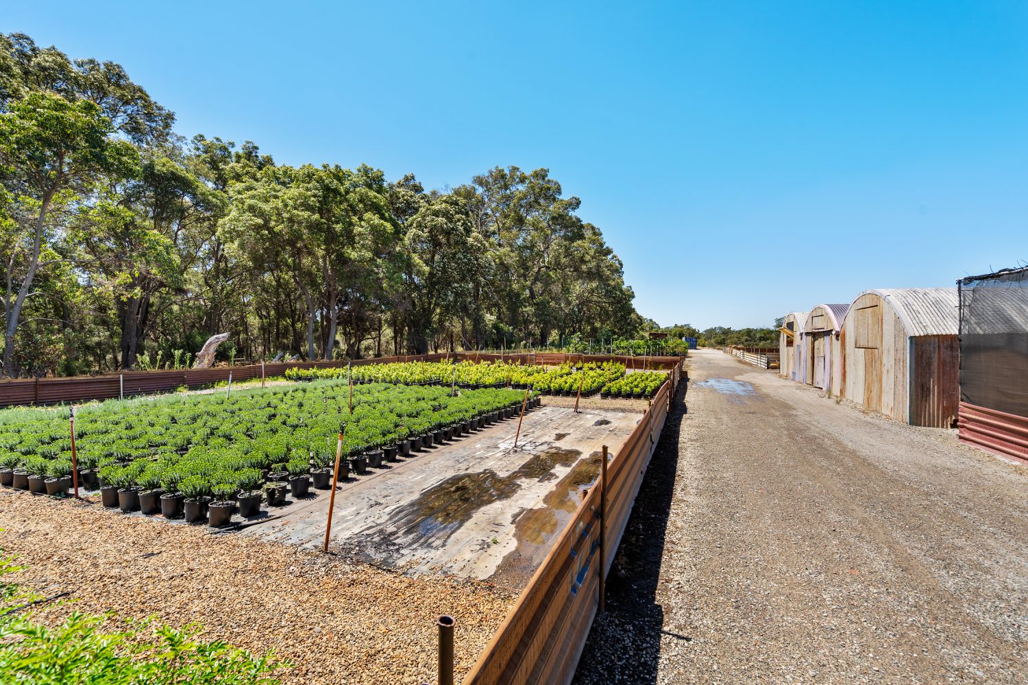 37 Landgren Road, Casuarina