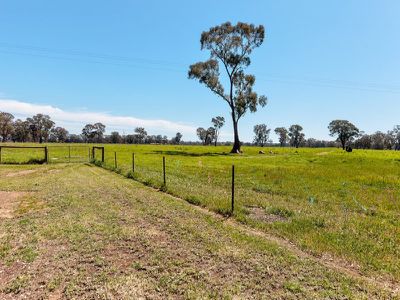 787 Howlong-Barnawartha Road, Barnawartha
