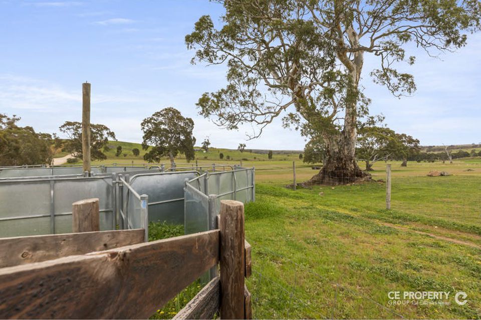 537 Cookes Hill Road, Springton