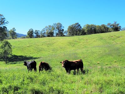 552 Neringla Road, Neringla