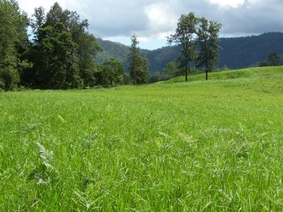 Conondale