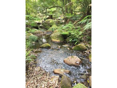 Kangaroo Valley