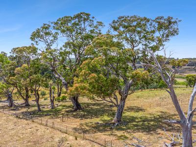 171 Boongarra Road, Laggan via, Crookwell