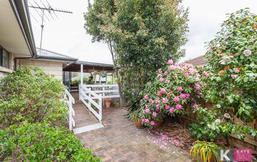 2 McNamara, Pakenham