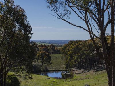 Lancefield