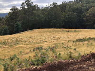 Lot 176545/2, Lightwood Creek Road, Glen Huon