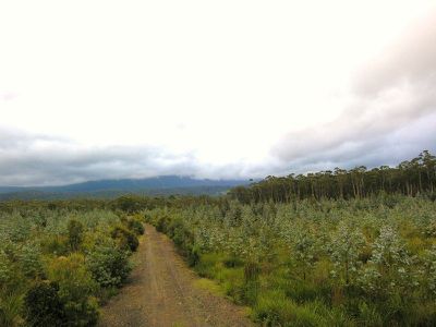 MT / Barrow Road, Nunamara