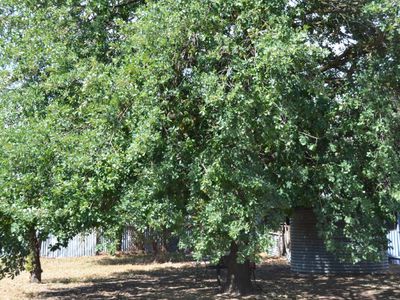 22-24 Main Street, Gerogery