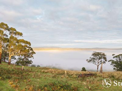 260 & 310 Mt William Road, Goldie